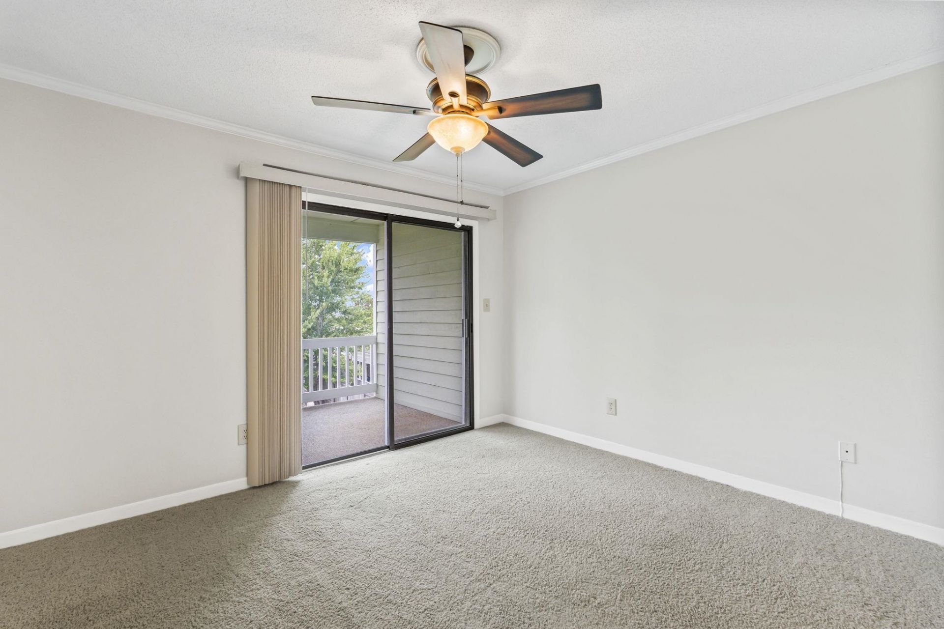 802 Myrtle Ct. Photo 31