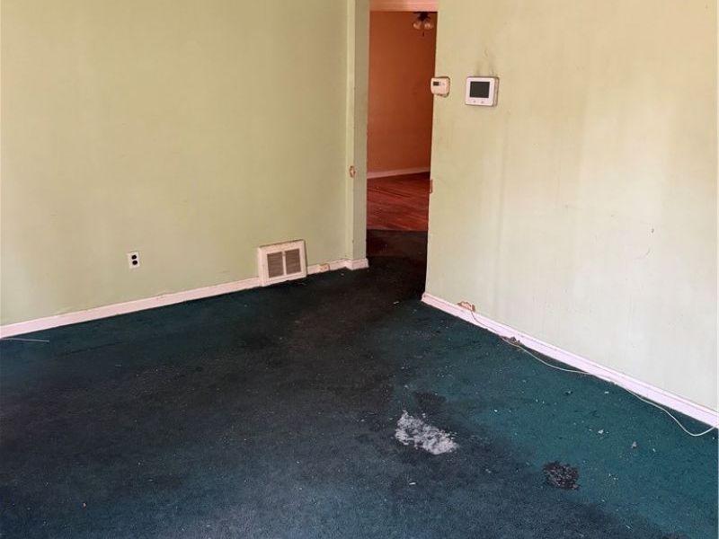 889 E 139th Street, Cleveland, OH 44110 Photo 10
