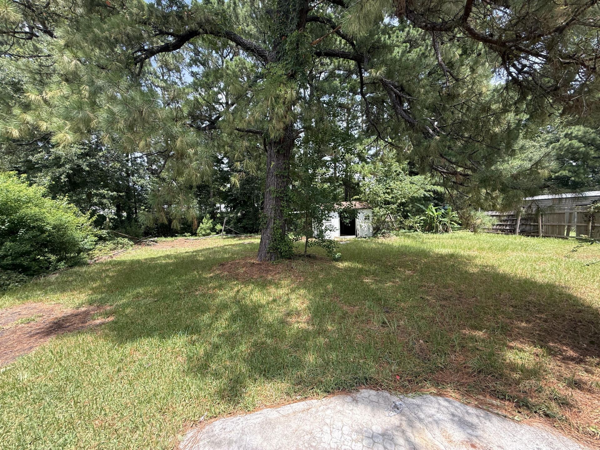 402 Kershaw Road Photo 23