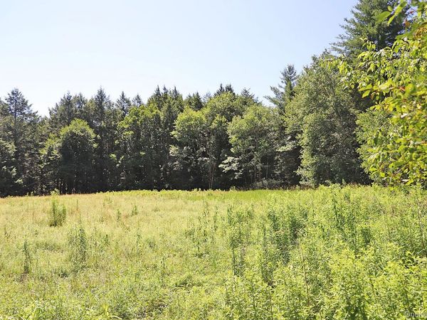 Lot 4A Hurd Road , Bethel, NY 12720