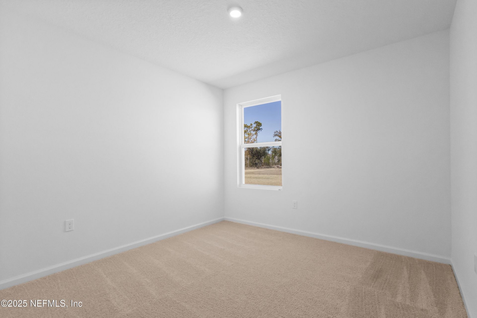 10230 Ebert Avenue, Hastings, FL 32145 Photo