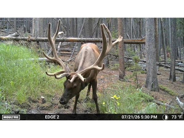 0 Twin Spruce Rd, Golden, CO 80403