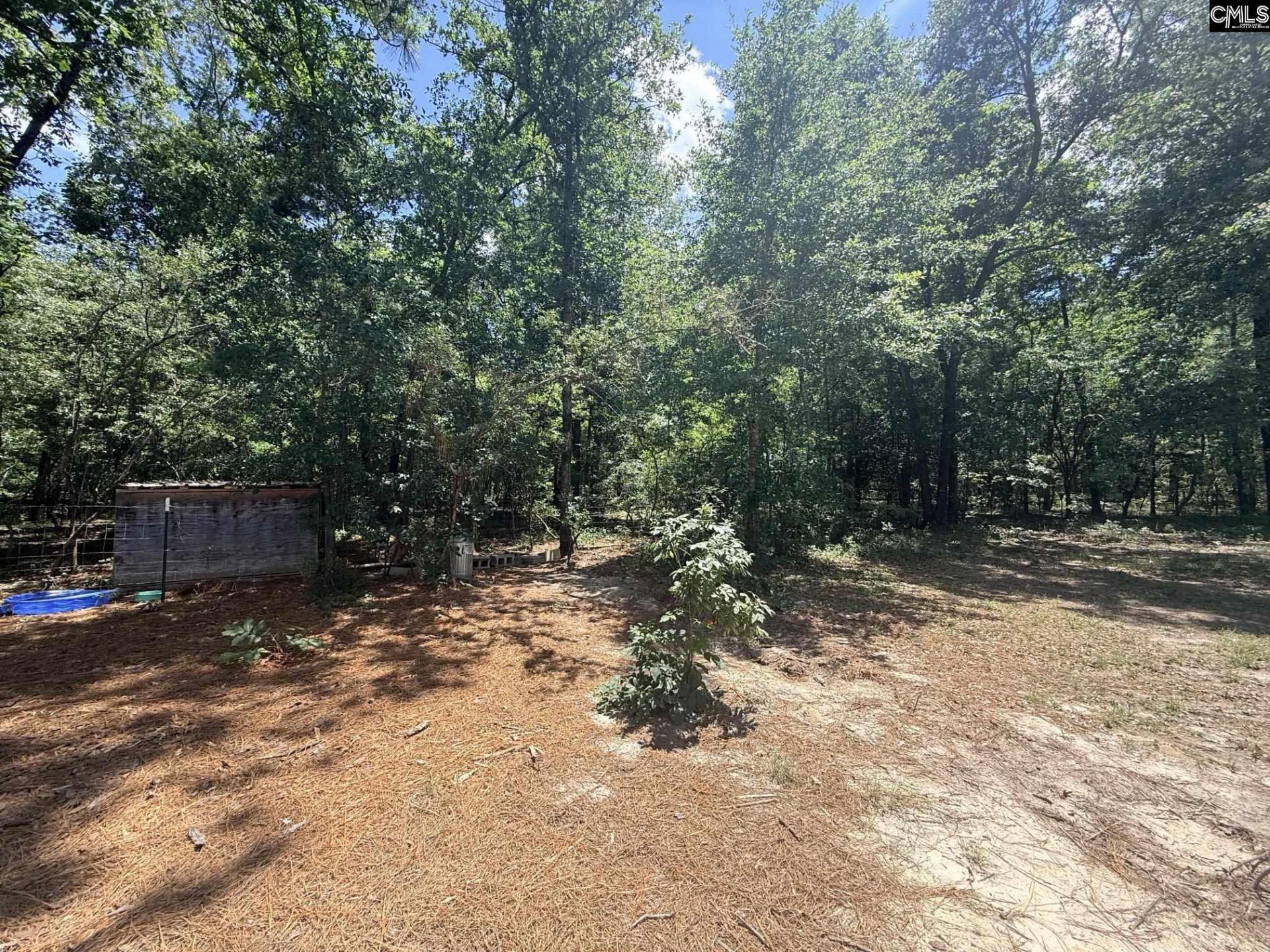 612 Edisto Lake Road  Photo 39