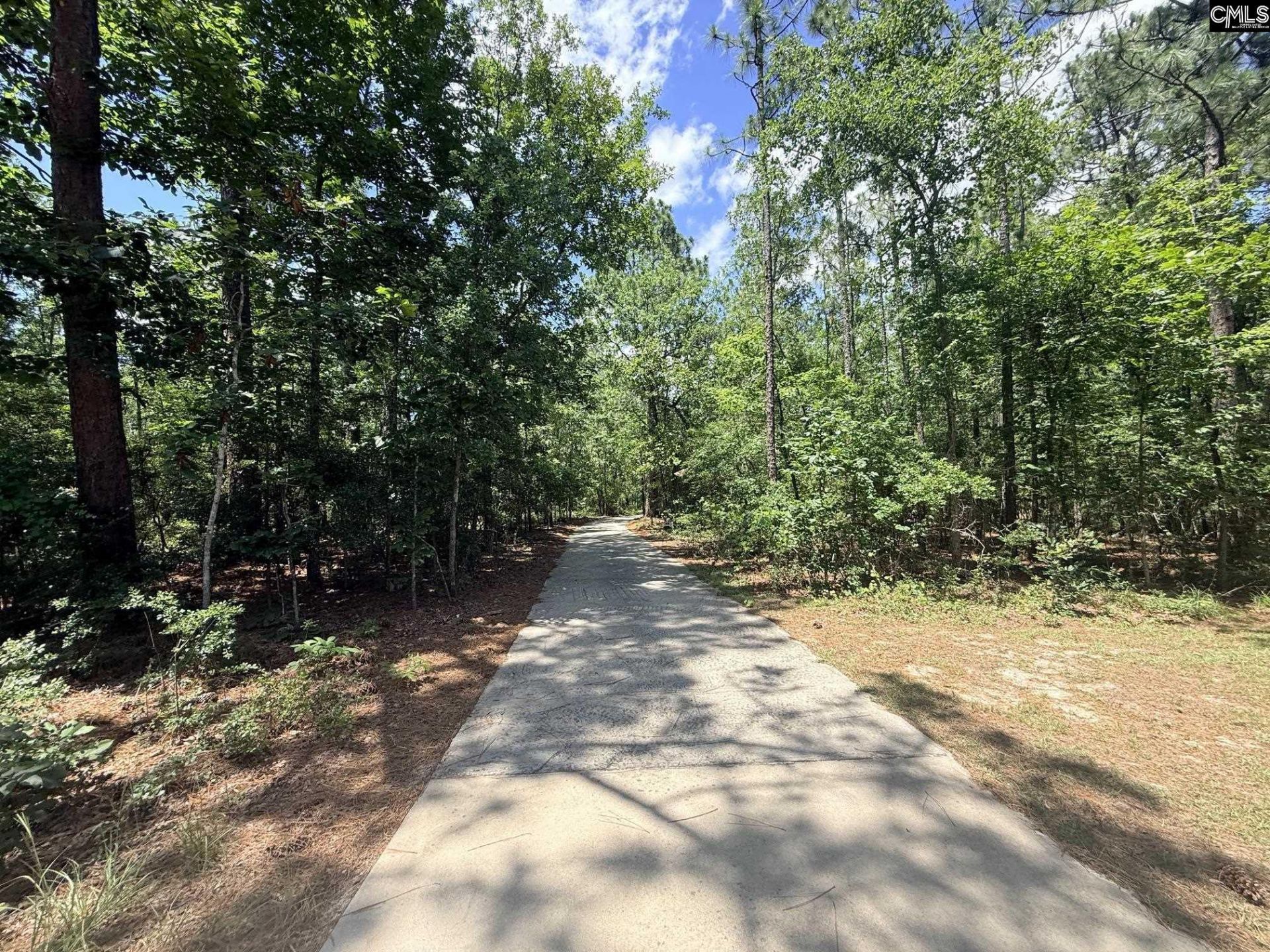 612 Edisto Lake Road  Photo 6