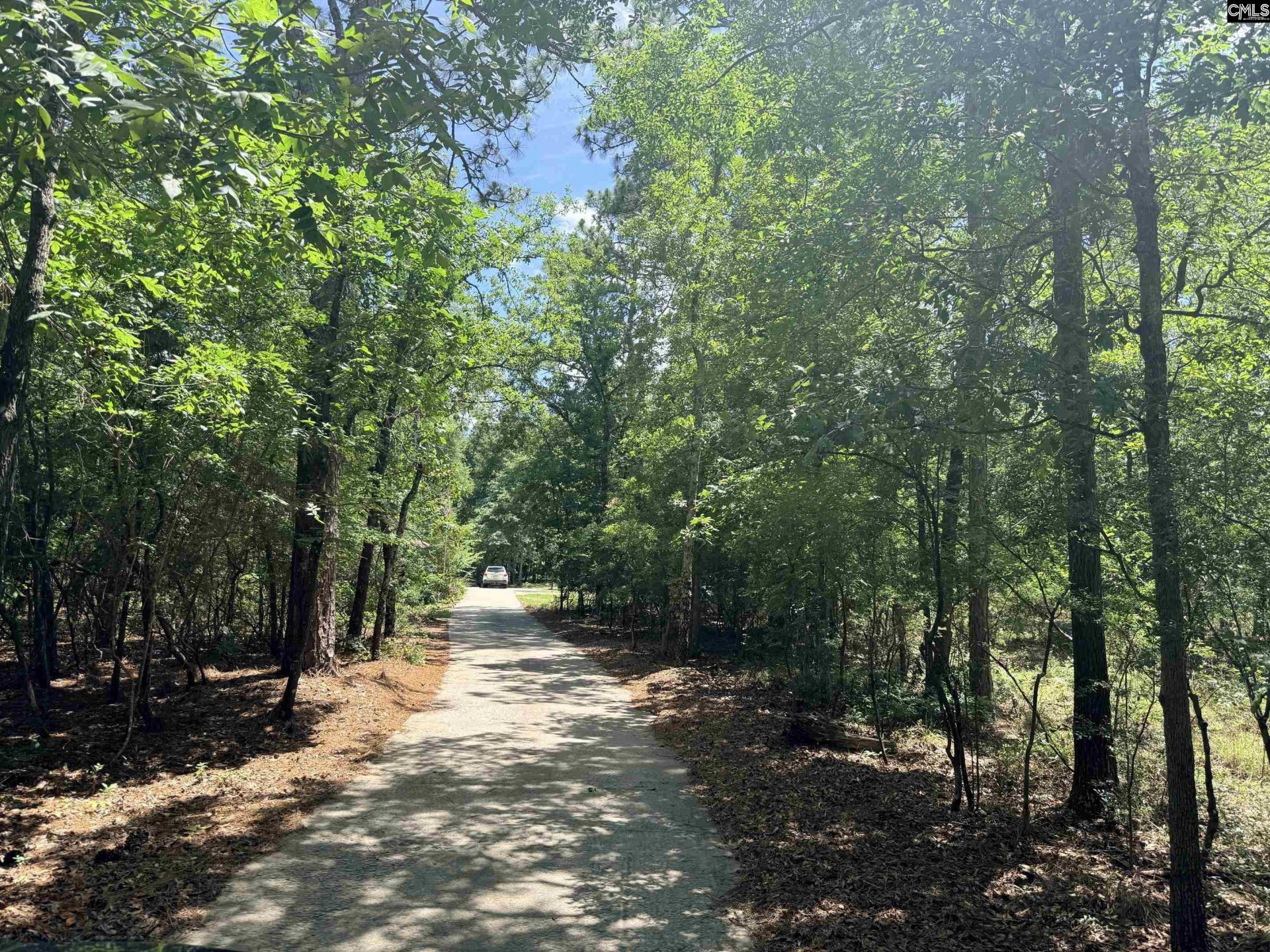 612 Edisto Lake Road  Photo 7