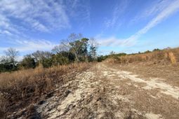 0 Festival Trail Road  photo 4
