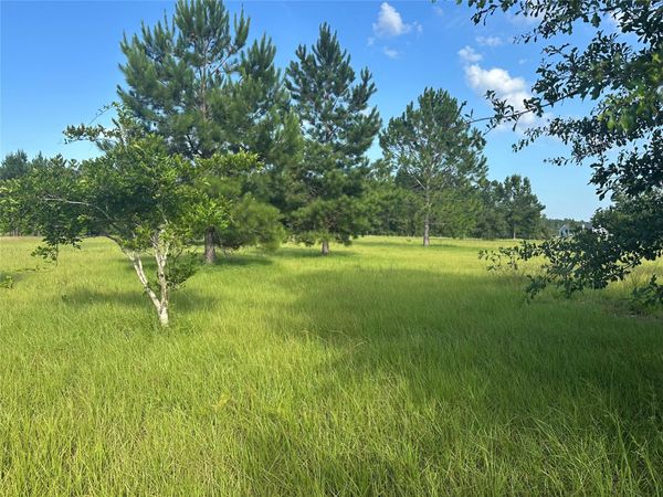 45676 MUSSLEWHITE Road , Callahan, FL 32011