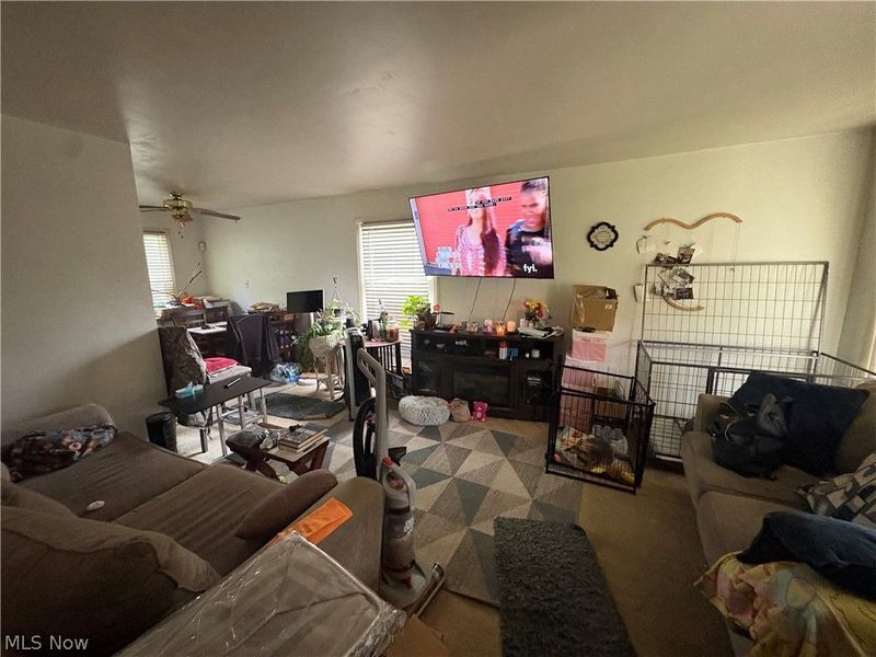 24951 Treadwell, Euclid, OH 44117 Photo 5