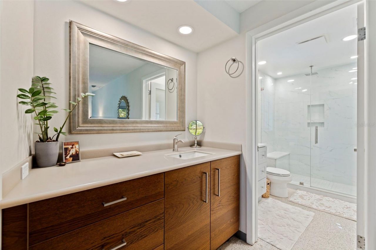 747 Sabal Court S, Saint Petersburg, FL 33705 Photo
