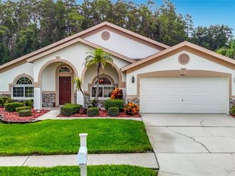 1521 BAYTHORN DRIVE  Wesley Chapel, FL 33543