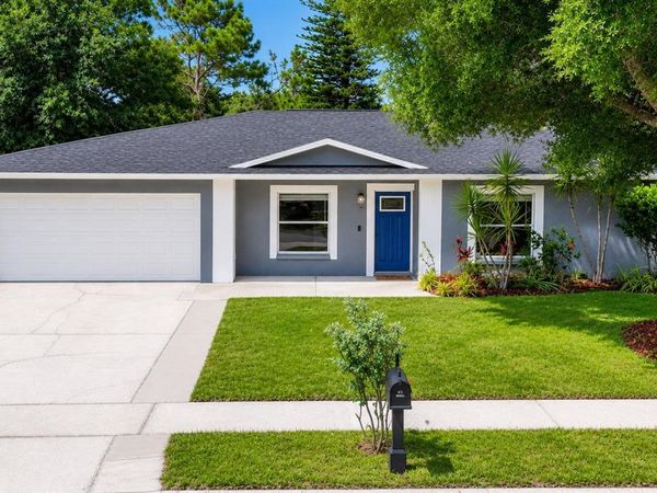 4113 HOLLOW HILL DR , TAMPA, FL 33624