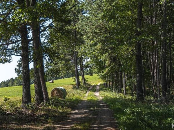Tract 4 Private Drive 2336 , Norwood, MO 65717