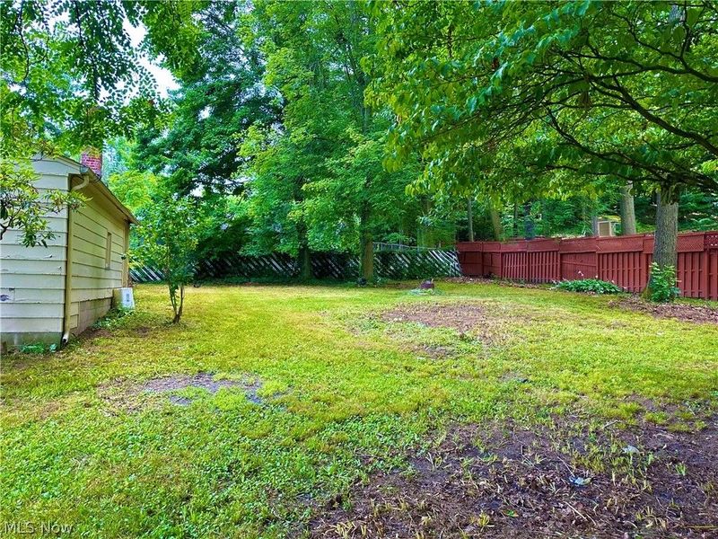 3512 Tangent Street, Youngstown, OH 44502 Photo 15