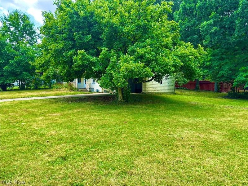 3512 Tangent Street, Youngstown, OH 44502 Photo 19