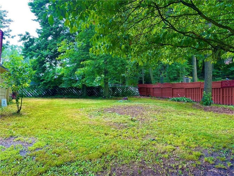 3512 Tangent Street, Youngstown, OH 44502 Photo 21
