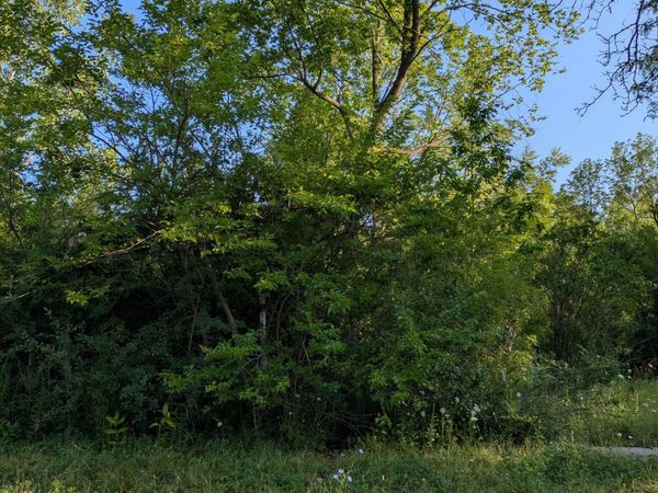 2640 W Forest Avenue, Detroit, MI 48208