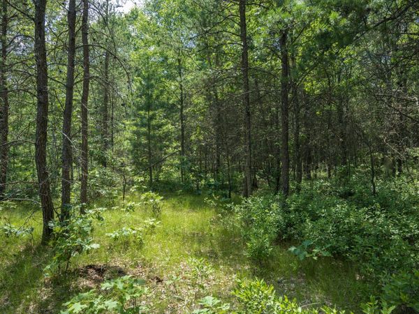 Lot 5 17th Street, Necedah, WI 54646