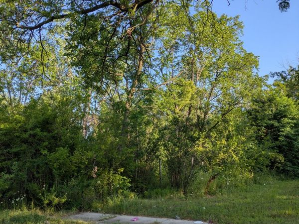 2660 W Forest Avenue, Detroit, MI 48208