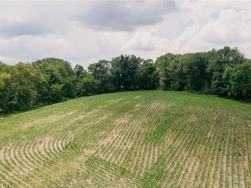 3151 Buttercup Road NE, Carrollton, OH 44615 Photo 12