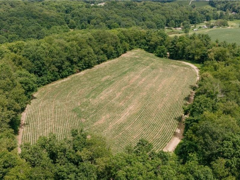 3151 Buttercup Road NE, Carrollton, OH 44615 Photo 14