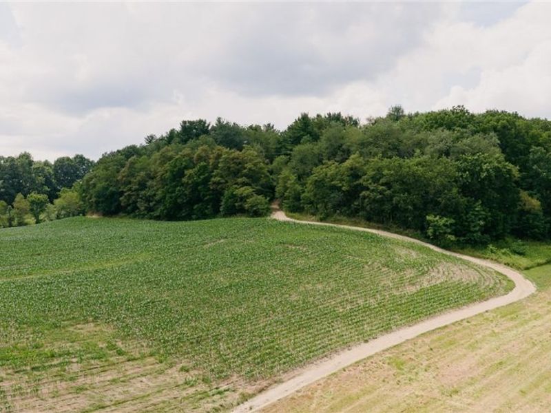 3151 Buttercup Road NE, Carrollton, OH 44615 Photo 8