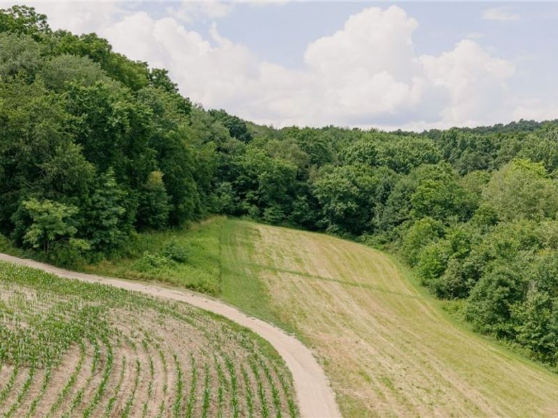 3151 Buttercup Road NE, Carrollton, OH 44615 Photo 9