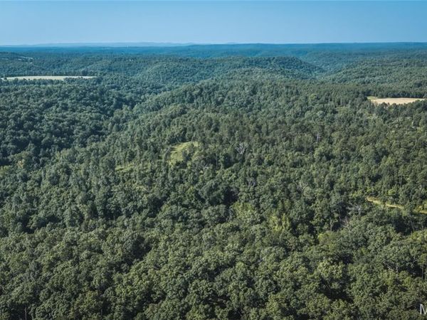 Tract 5 Private Drive 2336 , Norwood, MO 65717