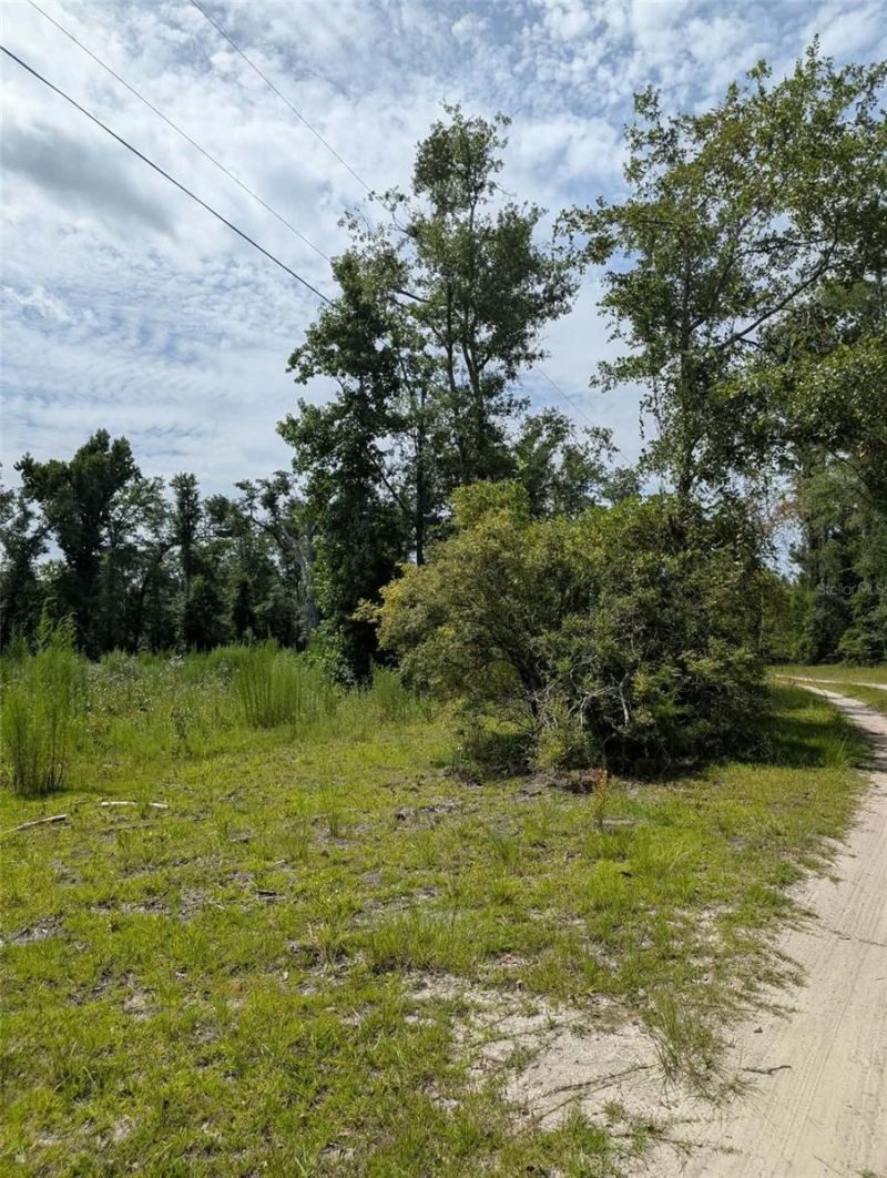 933 NE Fir St, Pinetta, FL 32350 Photo