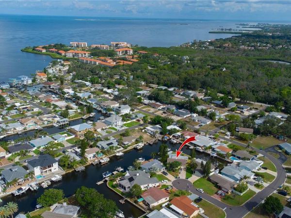 318 CIRCLE DRIVE, PALM HARBOR, FL 34683