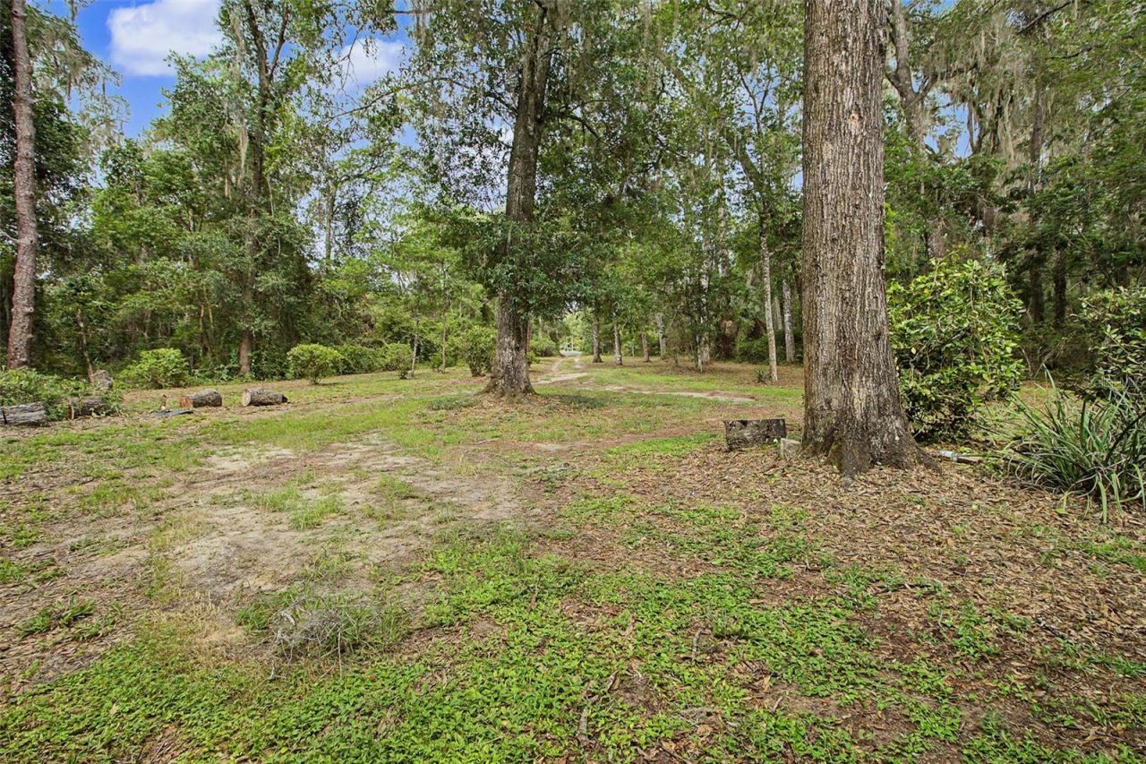 2906 SE 36th Lane, Gainesville, FL 32641 Photo