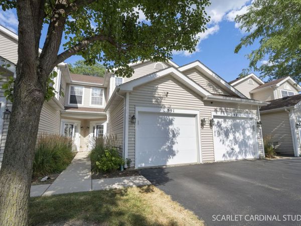 391 Hunterdon Court , Unit 4391A, Schaumburg, IL 60194