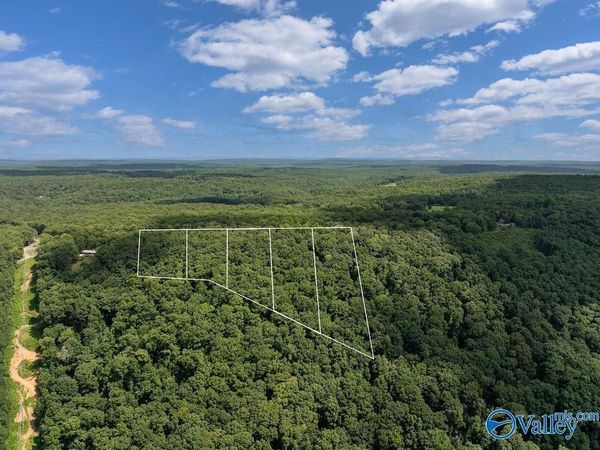 LOT 3 County Road 89, Mentone, AL 35984