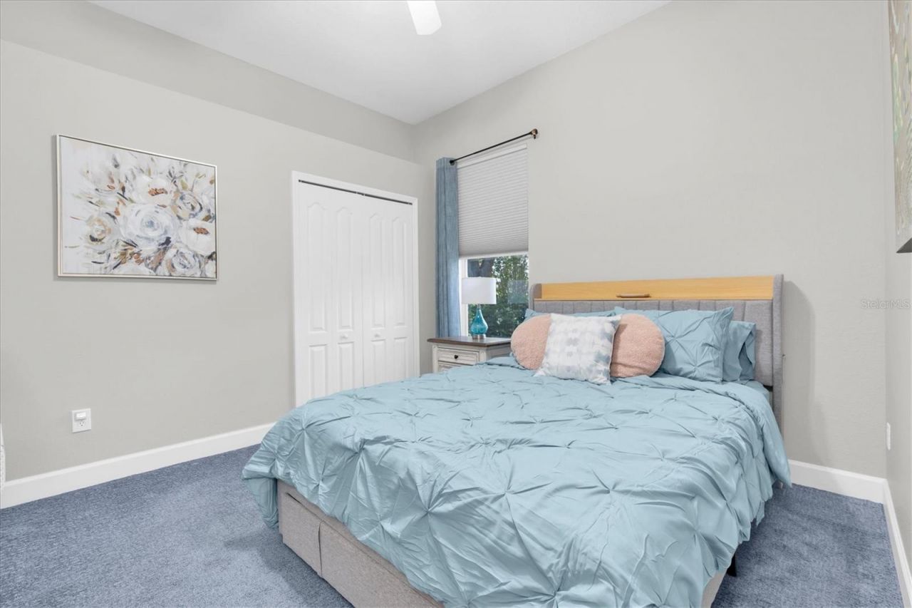 1805 Mountain Ash Way, Trinity, FL 34655 Photo