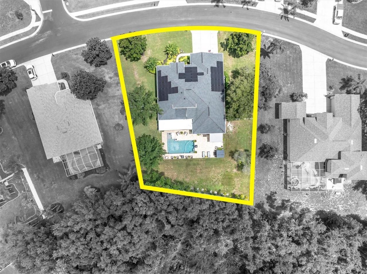 1805 Mountain Ash Way, Trinity, FL 34655 Photo