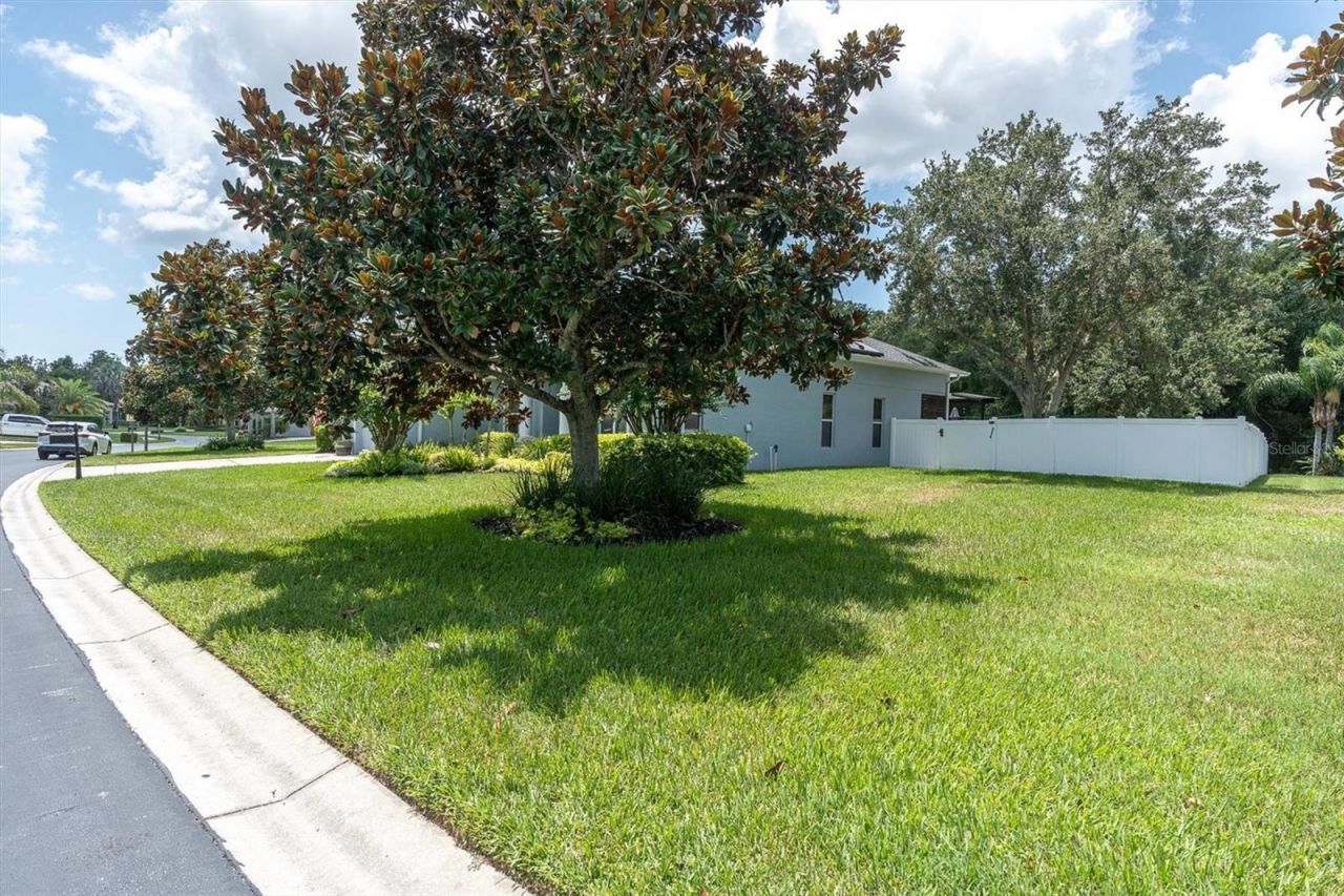 1805 Mountain Ash Way, Trinity, FL 34655 Photo