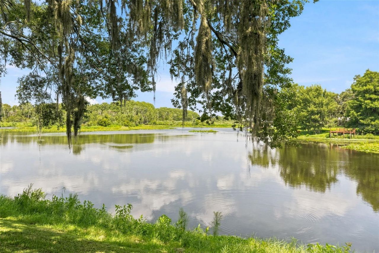 8515 E Gospel Island Road, Inverness, FL 34450 Photo