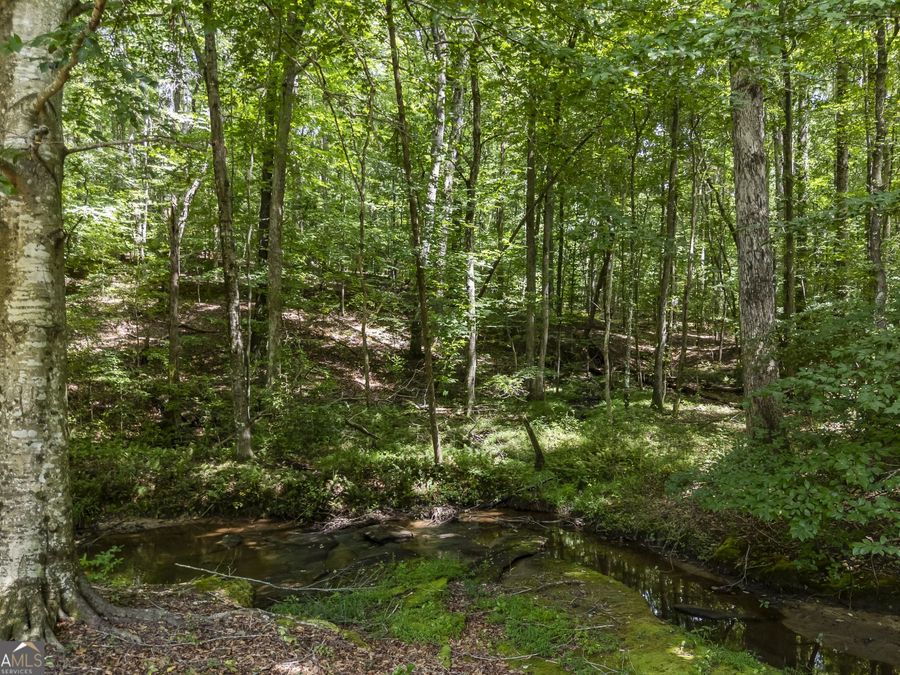 Property Image 94