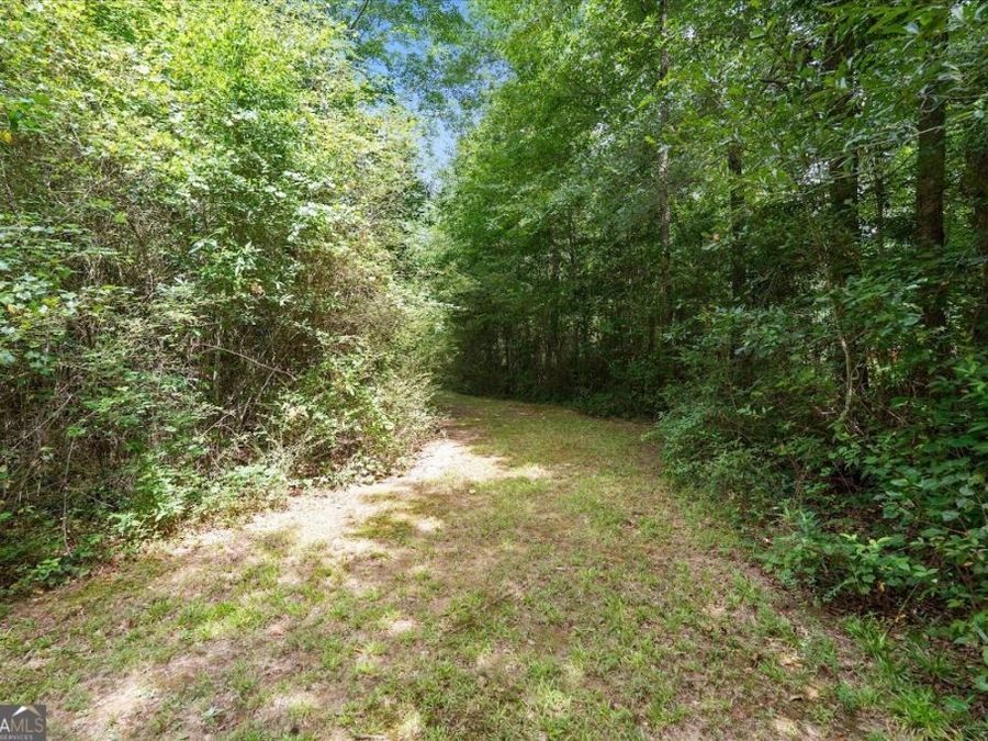 Property Image 58