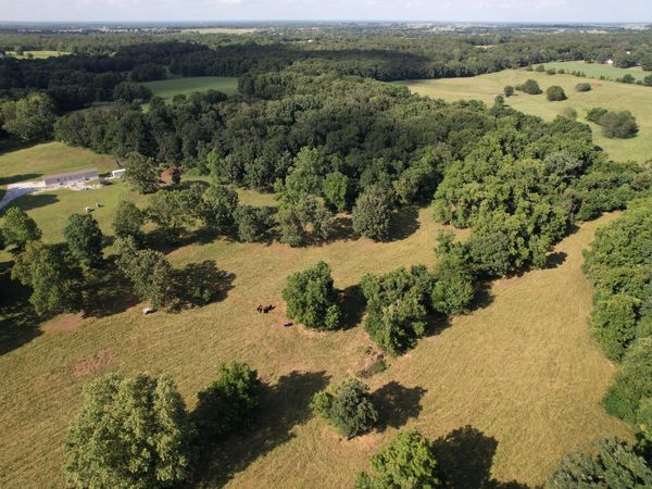 6731 Raccoon Road , Granby, MO 64844