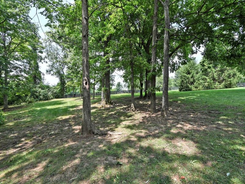 41 Locust Hill Road, Pierce Township, OH 45245 Photo 72