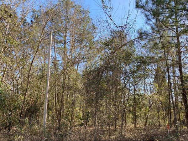 0 117TH COURT 21 & 22, Live Oak, FL 32060