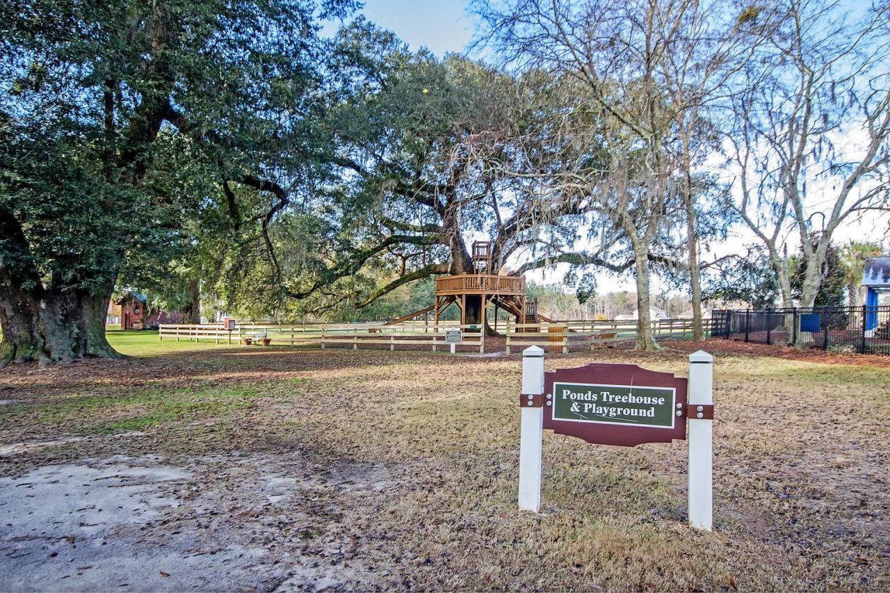 105 Trumpet Vine Drive Photo 44