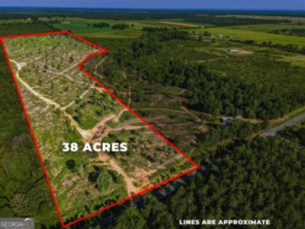 38 ACRES N Ga Highway 240 N CONNECTOR, Mauk, GA 31058