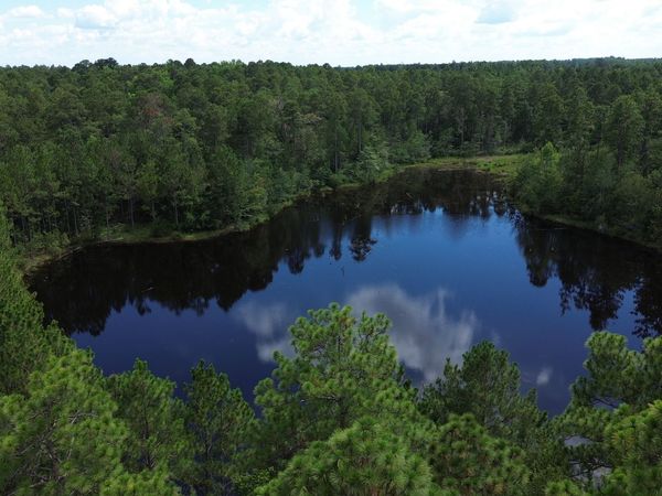 1 Hwy 25, Portal, GA 30450