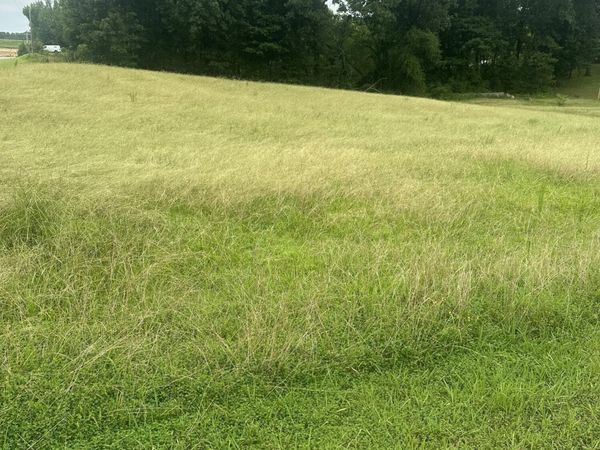 Landen Circle, Byhalia, MS 38611