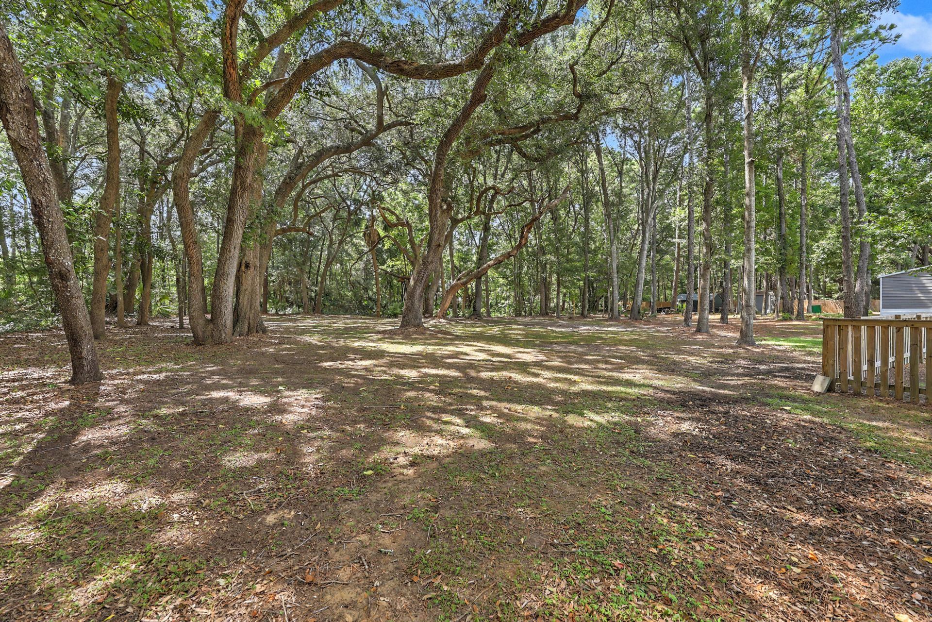 866 Blackbear Drive Photo 33