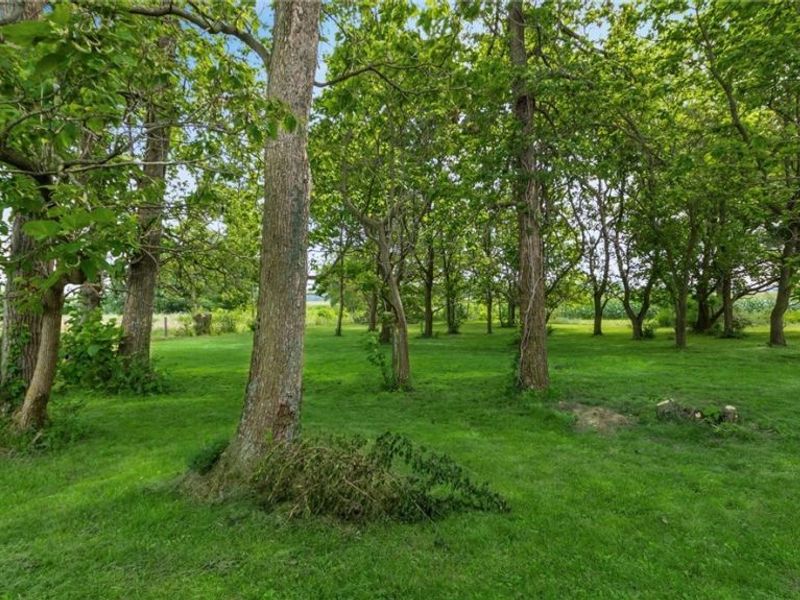 2090 N Sulphur Springs Road, West Alexandria, OH 45381 Photo 39