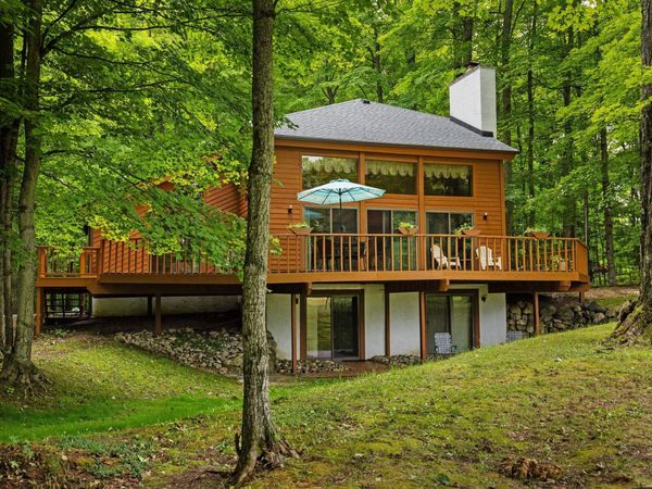6842 Rue De Montagne, Mancelona, MI 49659