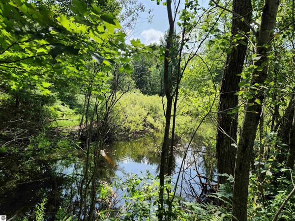 500 East Trail, Kalkaska, MI 49646