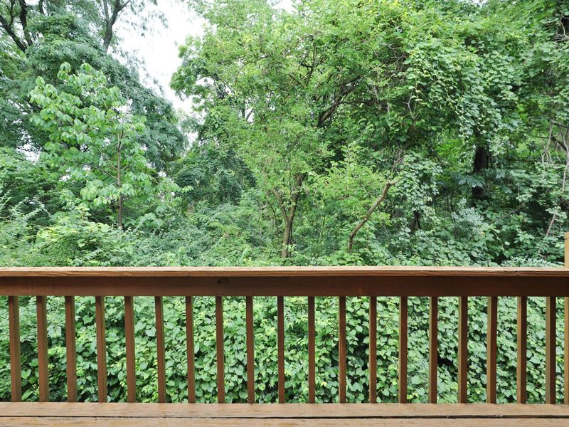 5655 Great Woods Boulevard, Columbus, OH 43231 Photo 17
